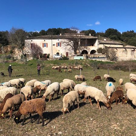 Gites La Ferme Accrochee A La Colline Lagorce  Luaran gambar
